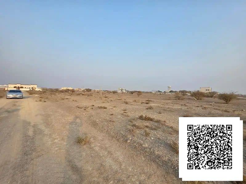 4 1000099412. webp