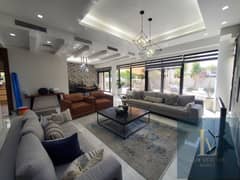 Fully Upgraded | Furnished | Ready to Move in