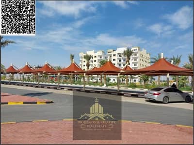 شقة 2 غرفة نوم للبيع في الياسمين، عجمان - WhatsApp Image 2025-08-11 at 16.00. 57_72520256. jpg