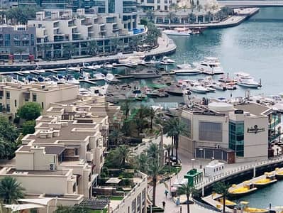 2 Bedroom Flat for Rent in Dubai Marina, Dubai - WhatsApp Image 2025-08-18 at 3.47. 08 PM. jpeg