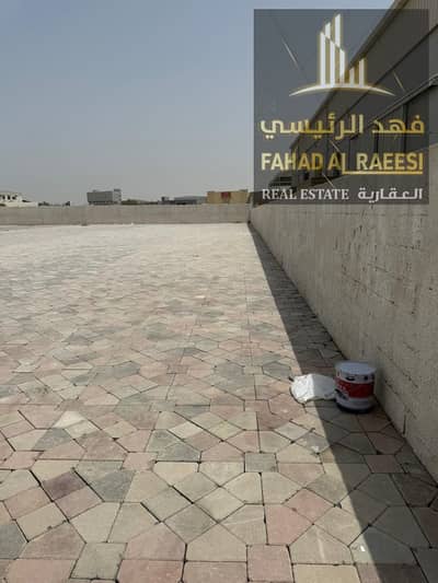 Warehouse for Rent in Umm Al Thuoob, Umm Al Quwain - WhatsApp Image 2025-07-29 at 5.59. 48 PM (1). jpeg