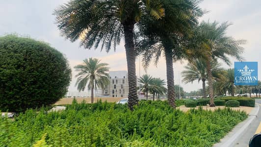ارض سكنية  للبيع في الزوراء، عجمان - 3. jpg