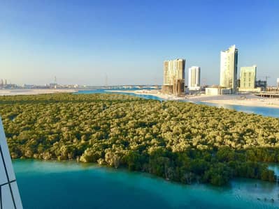 1 Bedroom Apartment for Rent in Al Reem Island, Abu Dhabi - Converted to Two Beds | Mangrove View | Furnished