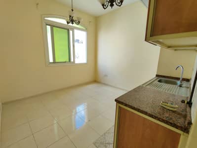 Studio for Rent in Muwaileh, Sharjah - IMG_20250114_125542. jpg