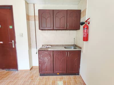 Studio for Rent in Muwaileh, Sharjah - IMG_20241007_164604. jpg