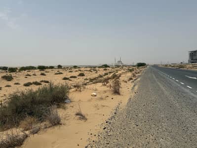 Al Belaida， 夏尔迦 住宅地块待售 - الرقيبة سيوح 7. jpg