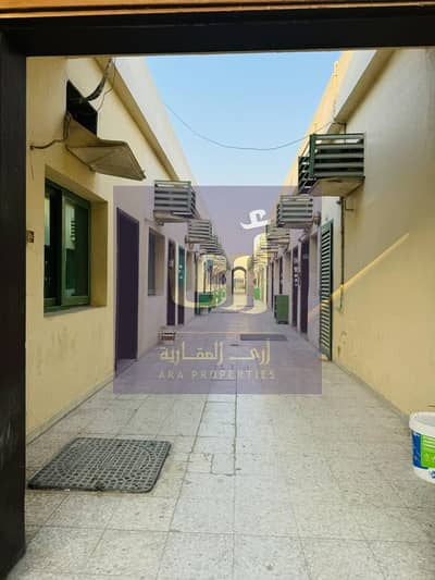 Labour Camp for Rent in Industrial Area, Sharjah - WhatsApp Image 2025-08-21 at 11.10. 36 AM. jpeg