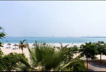 阿尔马扬岛， 拉斯海玛 单身公寓待租 - WhatsApp Image 2025-08-21 at 2.24. 16 PM (1). jpeg
