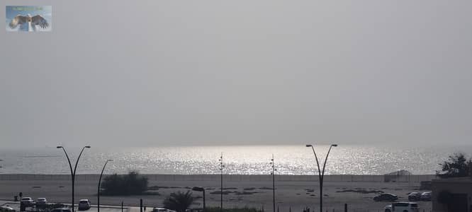 4 Bedroom Villa for Rent in Al Rifah, Sharjah - WhatsApp Image 2025-08-21 at 13.23. 16. jpeg
