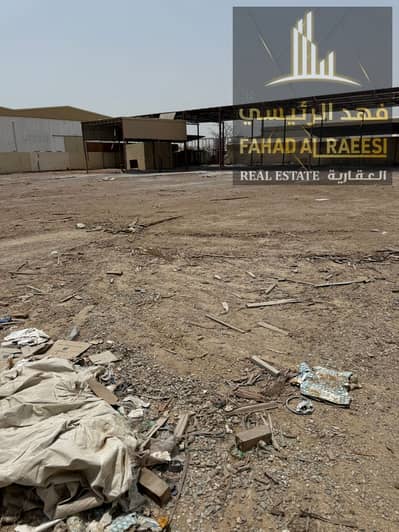 Warehouse for Rent in Umm Al Thuoob, Umm Al Quwain - WhatsApp Image 2025-07-29 at 6.03. 27 PM. jpeg