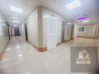 1 Bedroom Flat for Rent in Muwaileh Commercial, Sharjah - IMG-20250821-WA0017. jpg