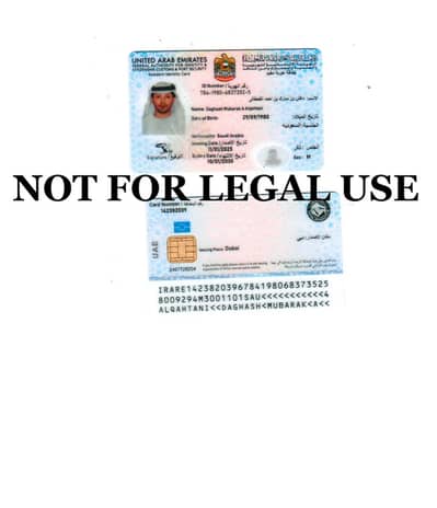 Palm View | High Floor | Luxury Living