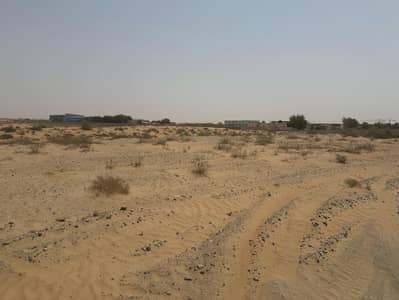 Al Belaida， 夏尔迦 住宅地块待售 - صجعة م 2. jpg