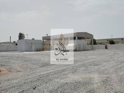 Mixed Use Land for Rent in Umm Al Thuoob, Umm Al Quwain - WhatsApp Image 2025-08-20 at 12.57. 22 PM (1). jpeg