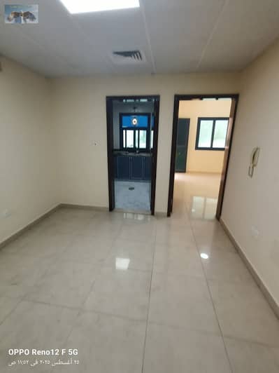 阿尔努艾米亚， 阿治曼 1 卧室单位待租 - صورة واتساب بتاريخ 2025-08-25 في 14.02. 47_5584dc87. jpg