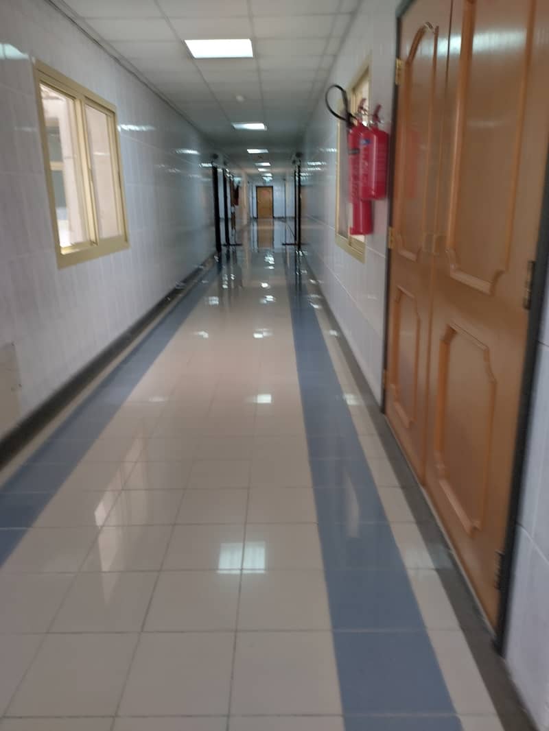 1 bhk available good for family sharing allowed near Al muteena Rood Brand New building Rent 53k with car parking available and also central gas available with balcony - Image 8