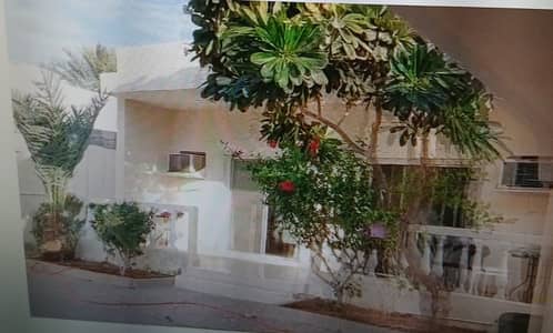 3 Bedroom Villa for Sale in Al Mansoura, Sharjah - WhatsApp Image 2025-08-26 at 13.14. 48 (1). jpeg