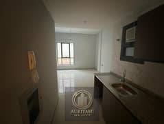 The largest studio in Al Rashidiya, opposite Falcon Towers - Al Rashidiya 2, Ajman