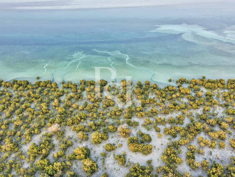 Premium Huge Waterfront Plot | Build Your Dream Home - Image 4