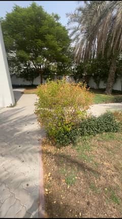 فیلا في القرهود 4 غرف 249999 درهم - 9800387