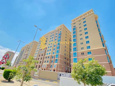 3 Bedroom Apartment for Rent in Mohamed Bin Zayed City, Abu Dhabi - WhatsApp Image 2025-08-27 at 5.45. 43 PM. jpeg