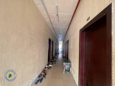 سكن عمال  للبيع في الجرف، عجمان - WhatsApp Image 2025-08-25 at 3.07. 36 PM. jpeg