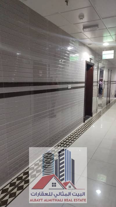 阿尔罗达， 阿治曼 2 卧室公寓待租 - 1f3d65d26d4646f199ff05b1811938a6. jpg
