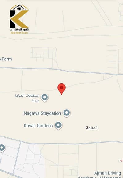ارض سكنية  للبيع في المنامة، عجمان - WhatsApp Image 2025-08-28 at 15.32. 55_16b9c57d. jpg