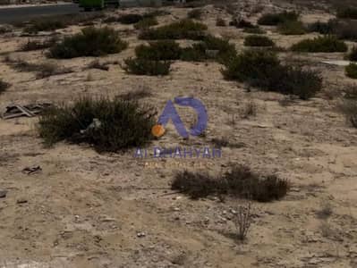 Plot for Sale in Muwaileh, Sharjah - IMG-20250806-WA0145. jpg