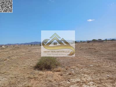 ارض سكنية  للبيع في مصفوت، عجمان - 308df7bf-7347-4d83-9752-0efa778c07dc. jpg