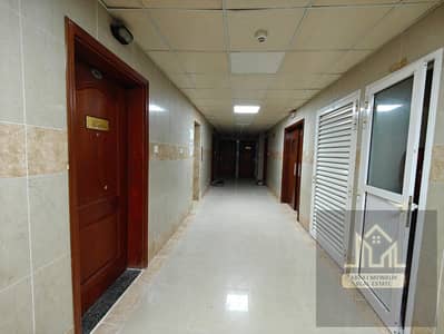 穆瓦利赫商业区， 夏尔迦 单身公寓待租 - IMG-20250830-WA0042. jpg