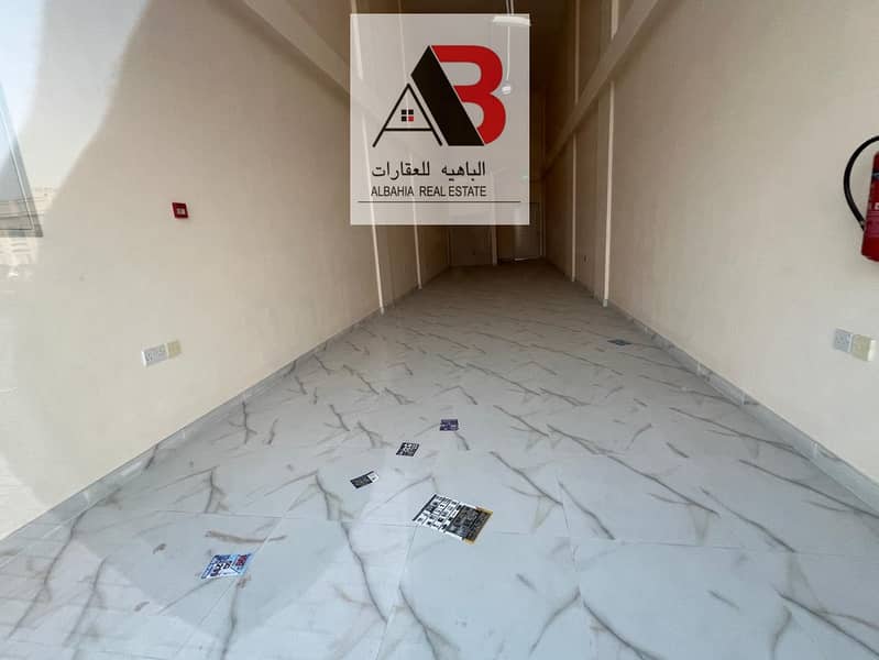 11 770e1ebc-f2e4-4d50-92e5-4f7314caf42b. jpeg