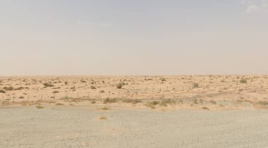 Al Belaida， 夏尔迦 住宅地块待售 - Screenshot 2025-08-30 110228. png