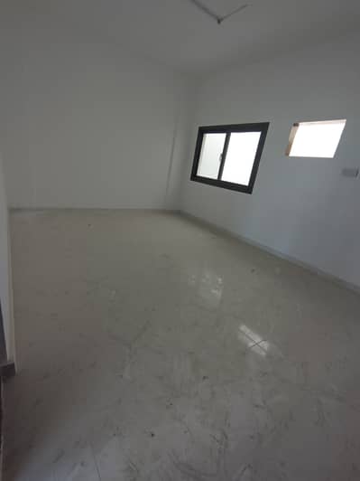 迪拉区， 迪拜 2 卧室公寓待租 - 1000780053. jpg