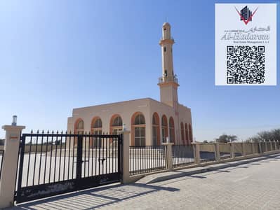 Plot for Sale in Al Manama, Ajman - IMG-20250130-WA0205. jpg