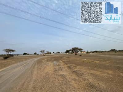 ارض سكنية  للبيع في المنامة، عجمان - IMG-20250901-WA0020. jpg