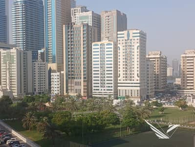 阿尔马贾兹， 夏尔迦 3 卧室公寓待租 - 20250613_170332. jpg