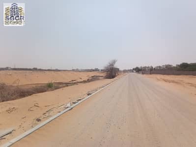 ارض سكنية  للبيع في الحليو، عجمان - photo_5888720211350243325_y. jpg