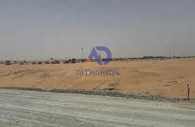 Al Belaida， 夏尔迦 住宅地块待售 - 1000144444. jpg