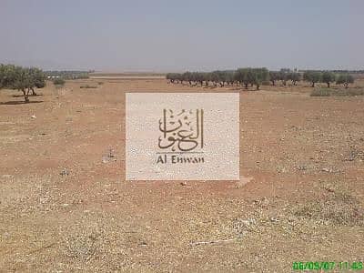 Plot for Sale in Muzairah, Sharjah - 1000372669. jpg