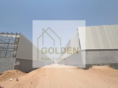 Warehouse for Rent in Umm Al Thuoob, Umm Al Quwain - WhatsApp Image 2025-09-01 at 12.30. 12 PM (1). jpeg