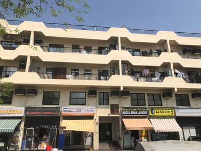 迪拉区， 迪拜 1 卧室公寓待租 - WhatsApp Image 2025-09-02 at 11.11. 56 AM (4). jpeg