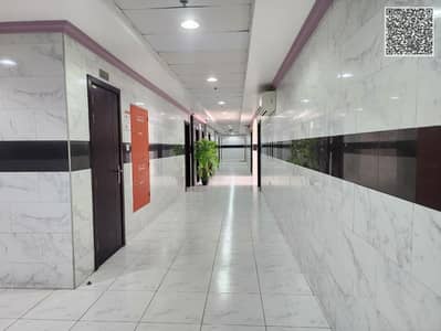 阿尔利亚斯， 乌姆盖万 单身公寓待租 - WhatsApp Image 2025-09-01 at 4.21. 41 AM. jpeg