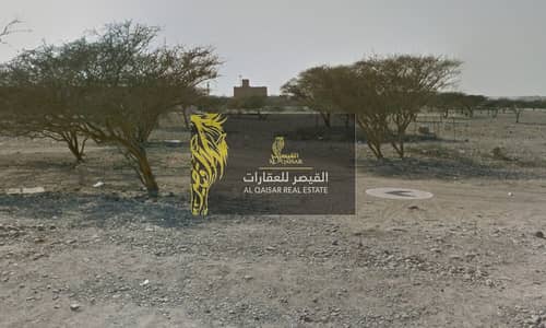 Plot for Sale in Shamal, Ras Al Khaimah - Screenshot 2024-08-26 105843. png