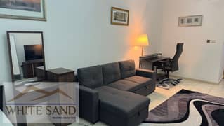 Fully Furnished Studio Pay 12 Cheques Ready to move in Unit