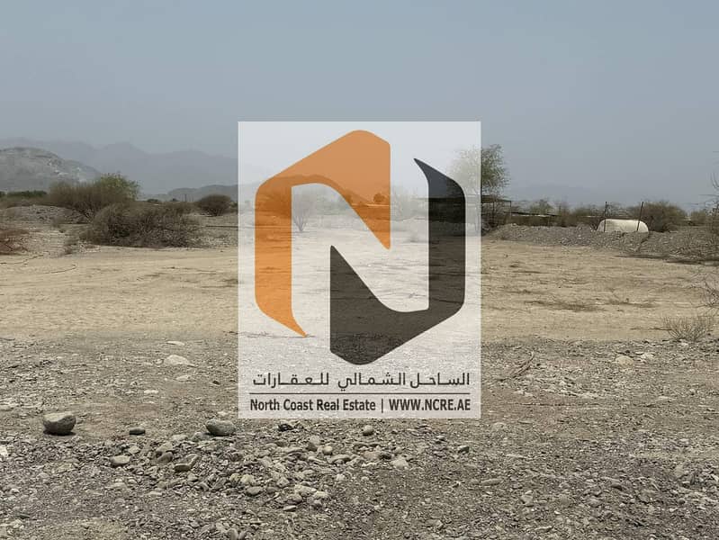 3 ارض زراعية كلباء 7. jpg