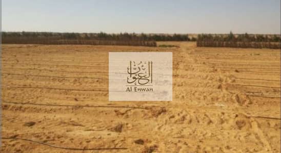 Plot for Sale in Muzairah, Sharjah - 1000000172. jpg