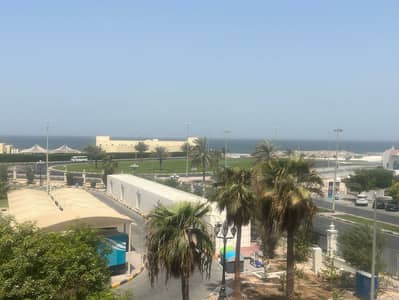 库拉亚赫， 夏尔迦 1 卧室公寓待租 - IMG-20250904-WA0037. jpg
