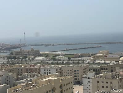 2 Cпальни Апартаменты в аренду в Бу Тина, Шарджа - IMG-20250904-WA0228. jpg