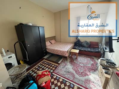 Studio for Rent in Al Jurf, Ajman - IMG-20250831-WA0366. jpg